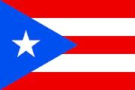 Puerto Rico Building Robust Infrastructure Privatization Program