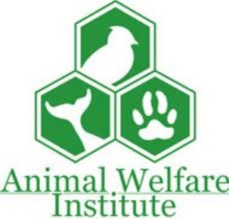 Animal Rights Activists Ordered to Pay Legal Fees
