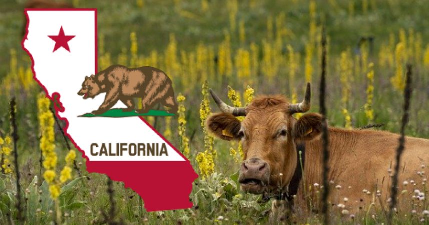 Will California Run Your Livestock Production?