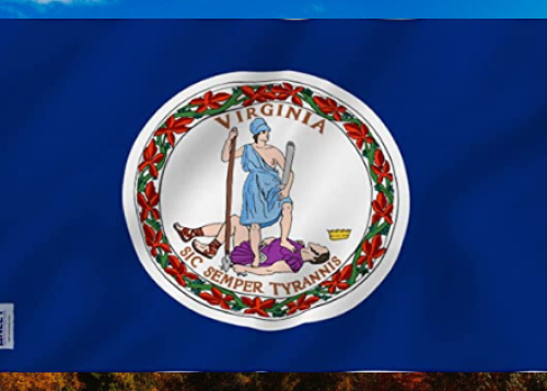 Virginia-State-Flag-600x315