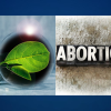 Who Paid for the Abortion Ads? Green Energy
