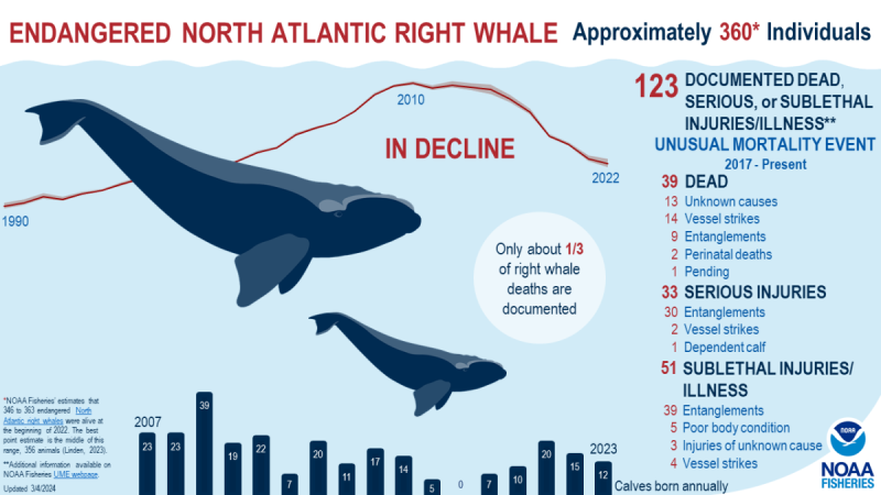 Wind Lawsuit Poses a Whale of a Problem